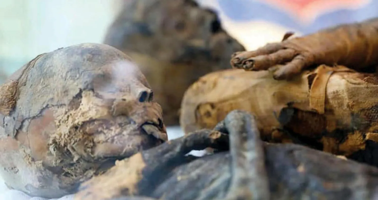 تقشير ورق البردي كان يؤدي إلى تآكل أسنان المصريين القدماء (وزارة الآثار المصرية)