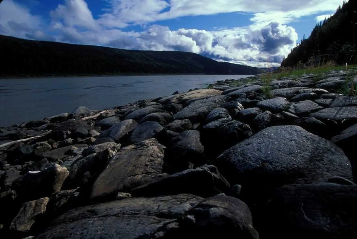 FILE PHOTO: The Yukon River is seen in Alaska in this undated handout photo courtesy of the US Fish and Wildlife Service. Reuters