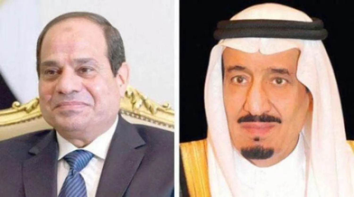 خادم الحرمين الشريفين الملك سلمان بن عبد العزيز والرئيس المصري عبد الفتاح السيسي («الشرق الأوسط»)