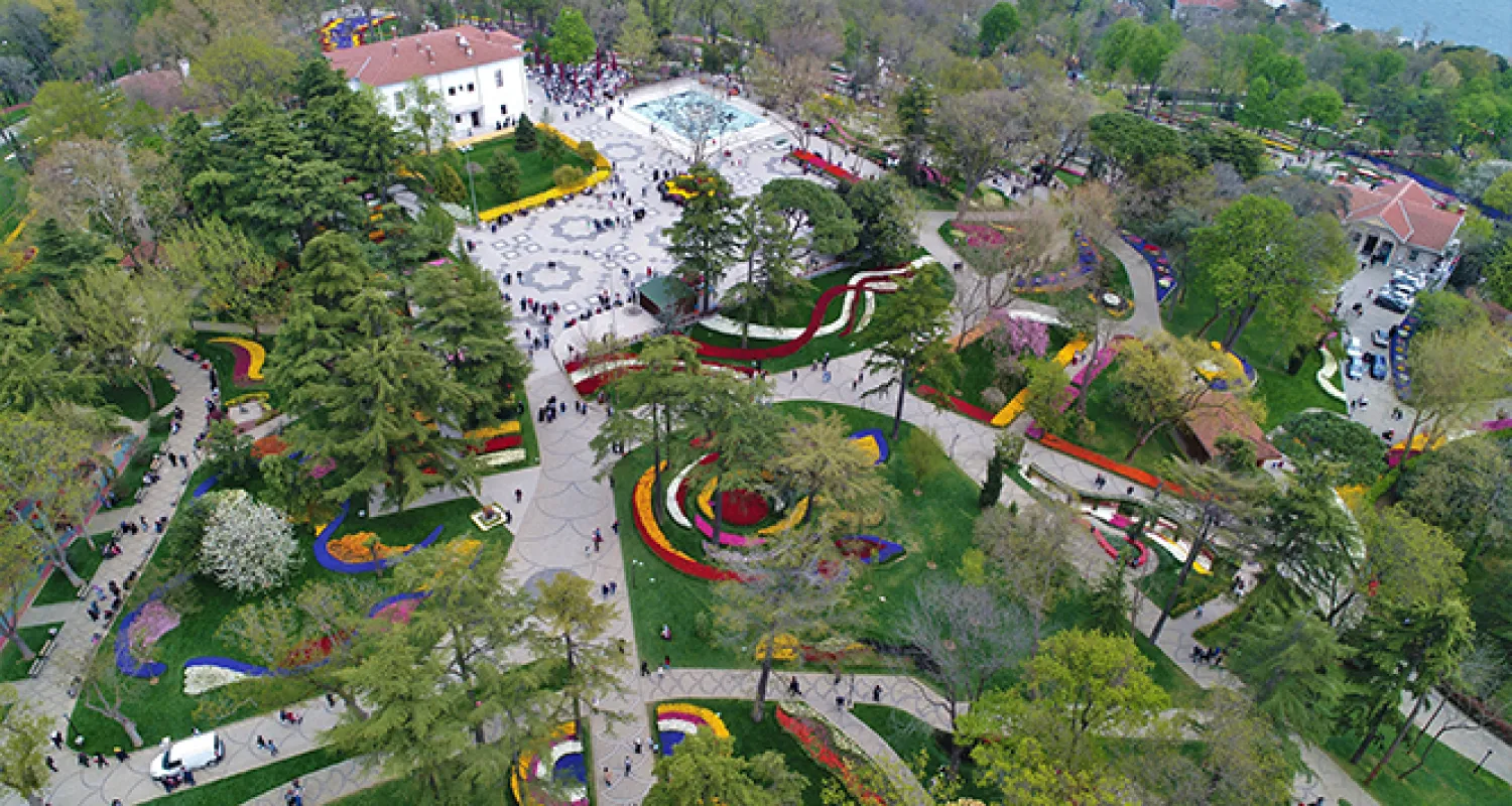 İstanbul'u 20 milyon lale renklendiriyor