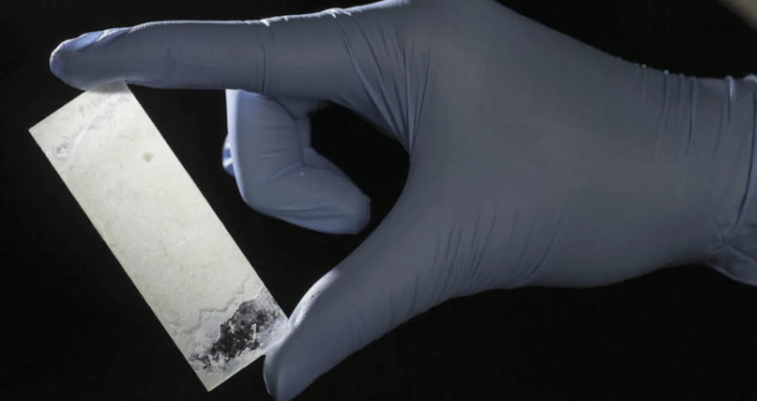 منتج عرق اللولؤ عن طريق البكتيريا (الفريق البحثي)