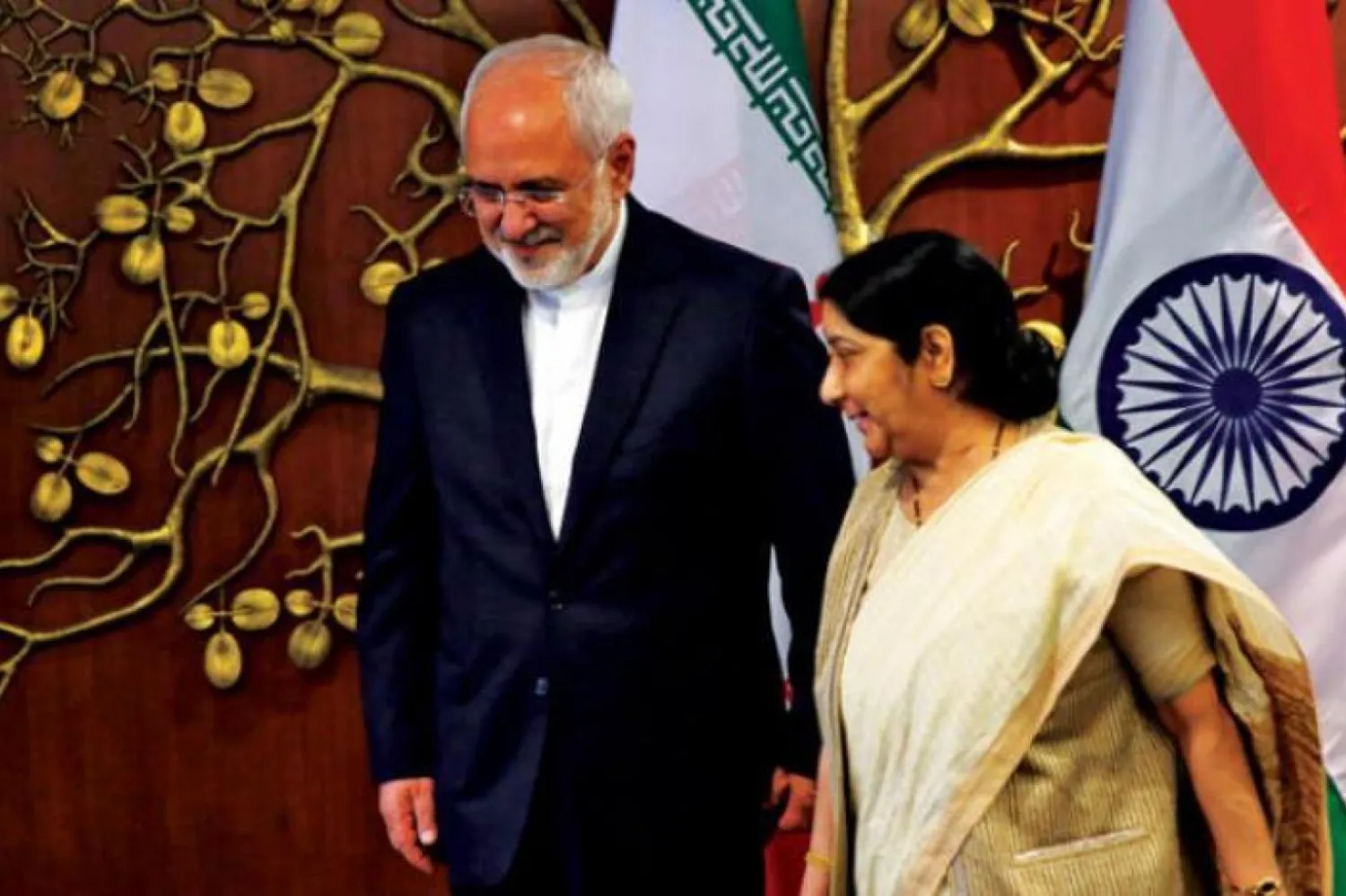 İran Dışişleri Bakanı Muhammed Cevad Zarif ve Hindistanlı mevkidaşı Sushma Swaraj