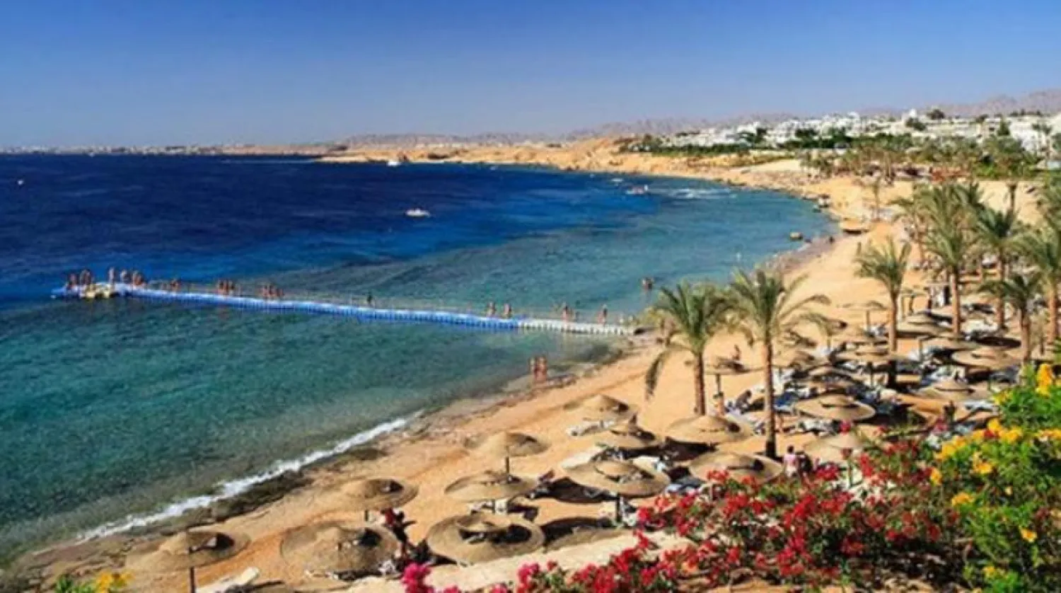 Egyptian Travel Agents Association Says No Differences Between Airlines, Lebanese Travel Agents
