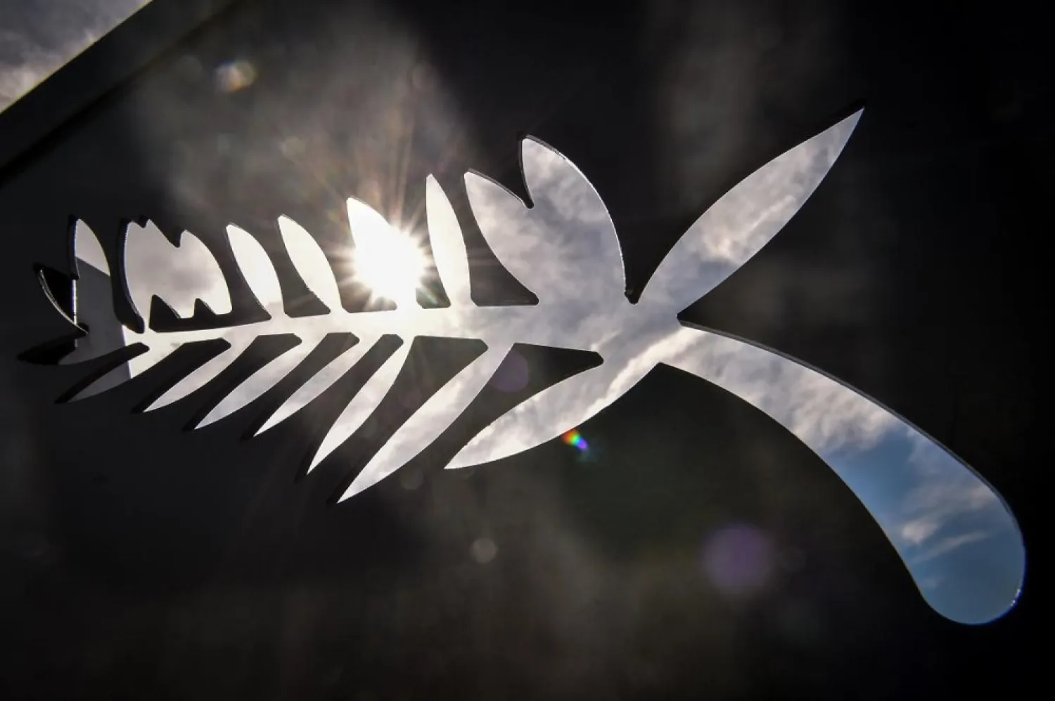 The sun is seen seeping through a palm, similar to the Palme d'Or, on May 13, 2019. (AFP)