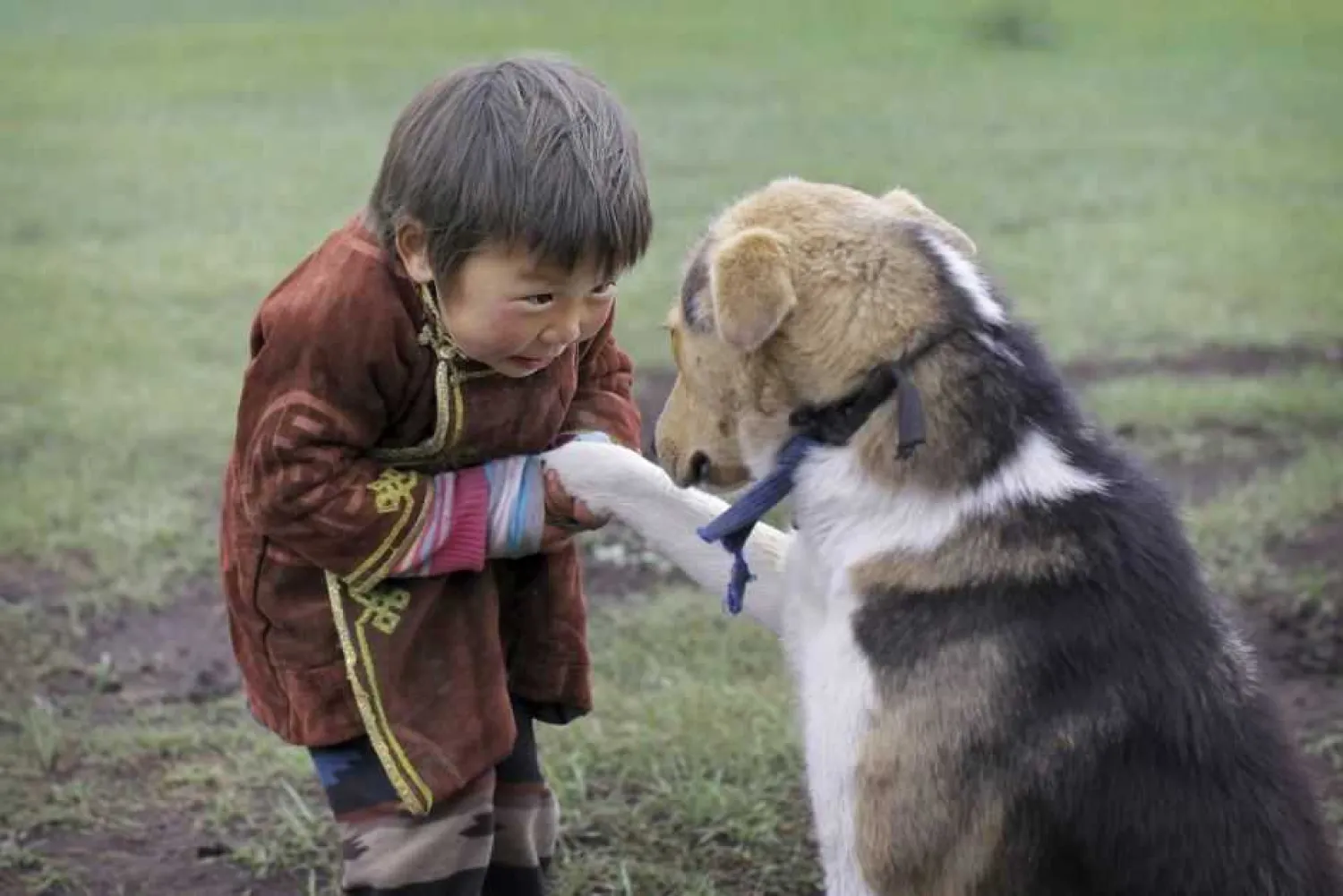 Boy from Mongolia with pet dog. Timothy Allen/Getty Images