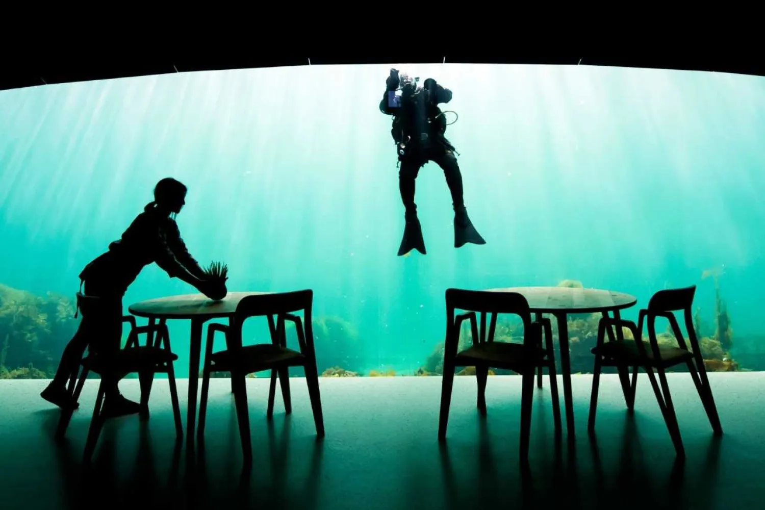 A worker prepares dining tables as a diver cleans a viewing window of Under, a restaurant that is semi-submerged beneath the water of the North Sea in Lindesnes, some 400 km southwest of Oslo, Norway. Photo: AFP.