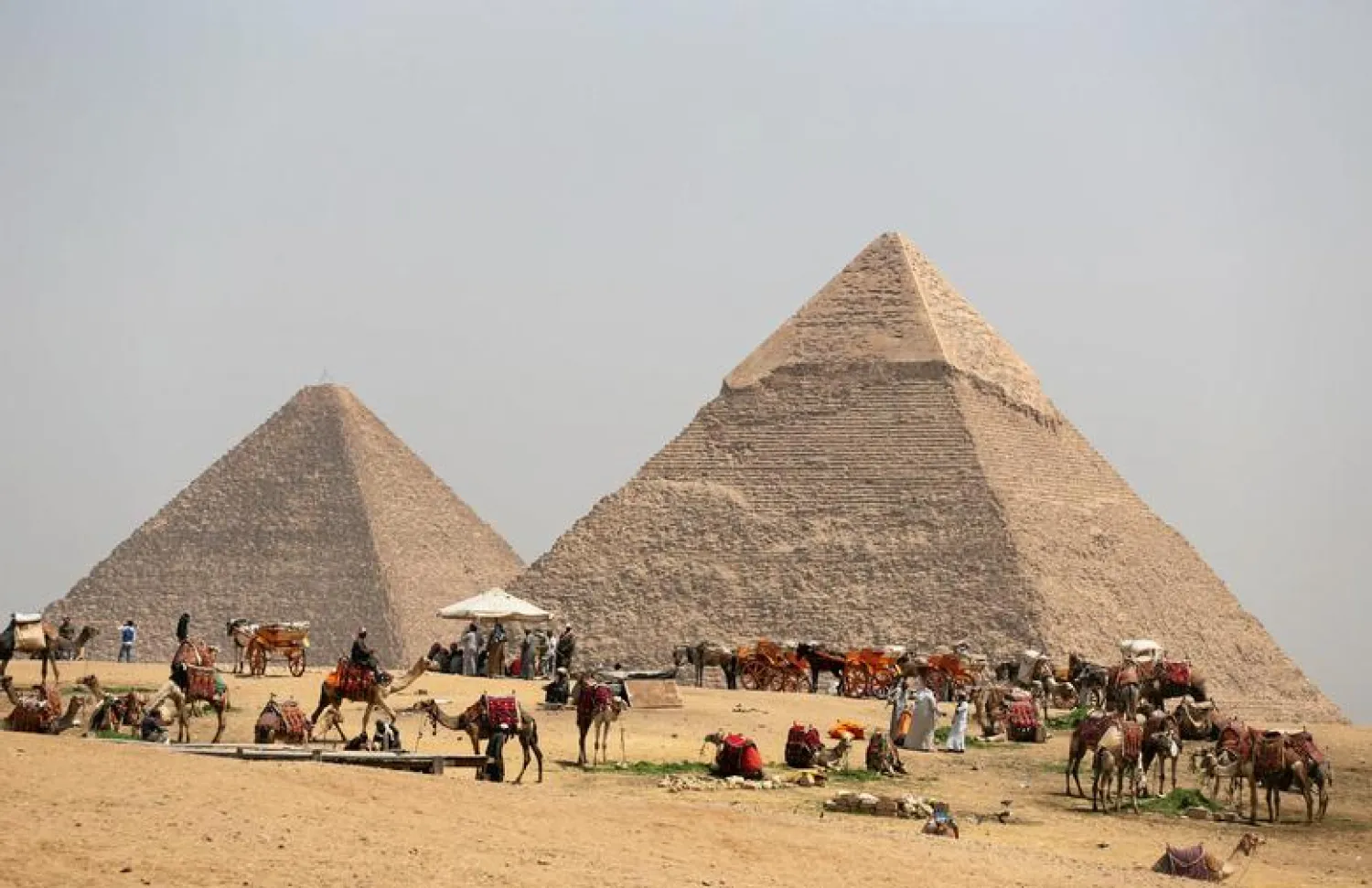 A group of camels and horses stand idle in front of the Great Pyramids awaiting tourists in Giza, Egypt on March 29, 2017. REUTERS/Mohamed Abd El Ghany/File Photo