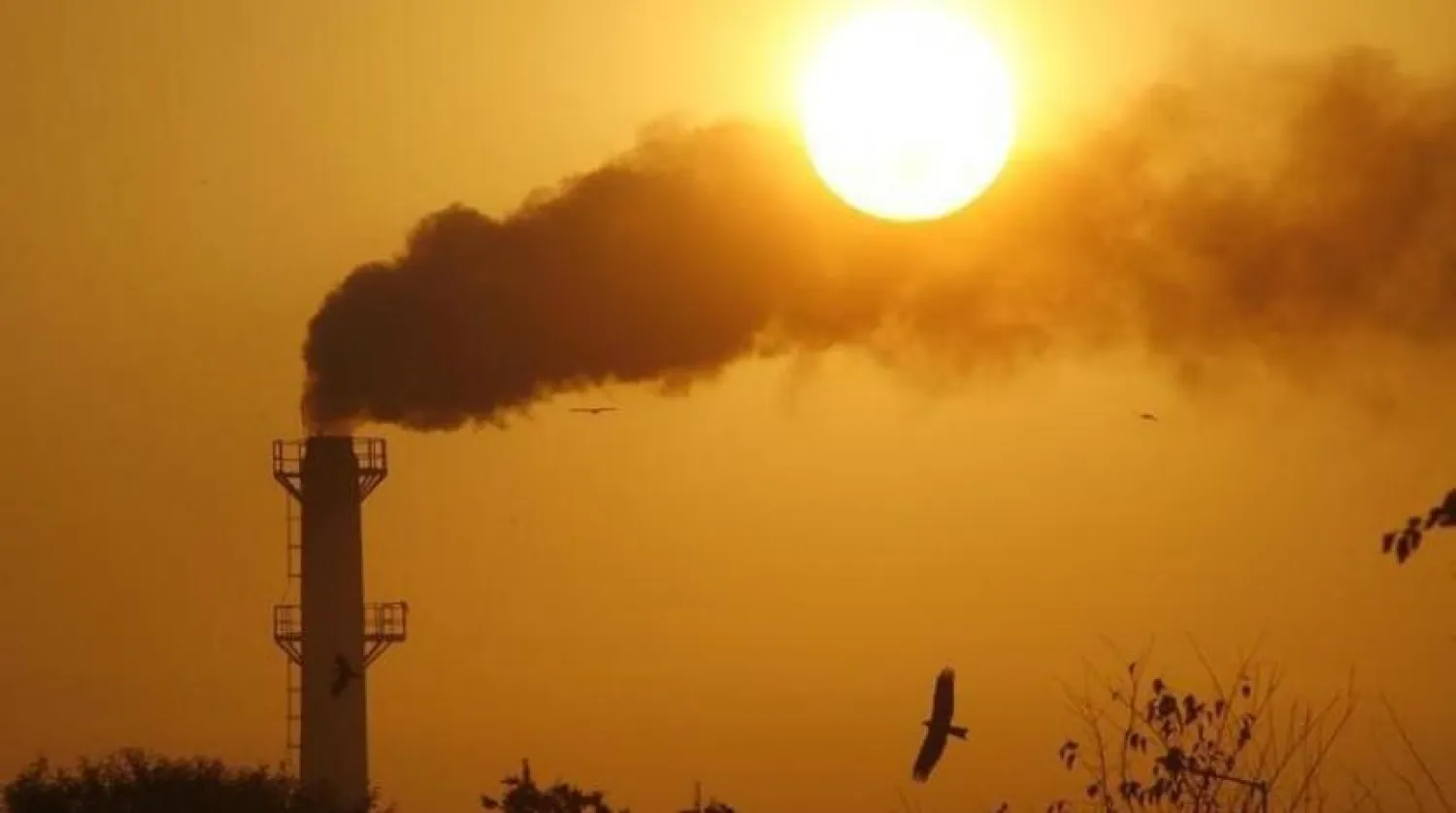 2050 yılına kadar insanlığın sonunu getirebilecek 'felaket’