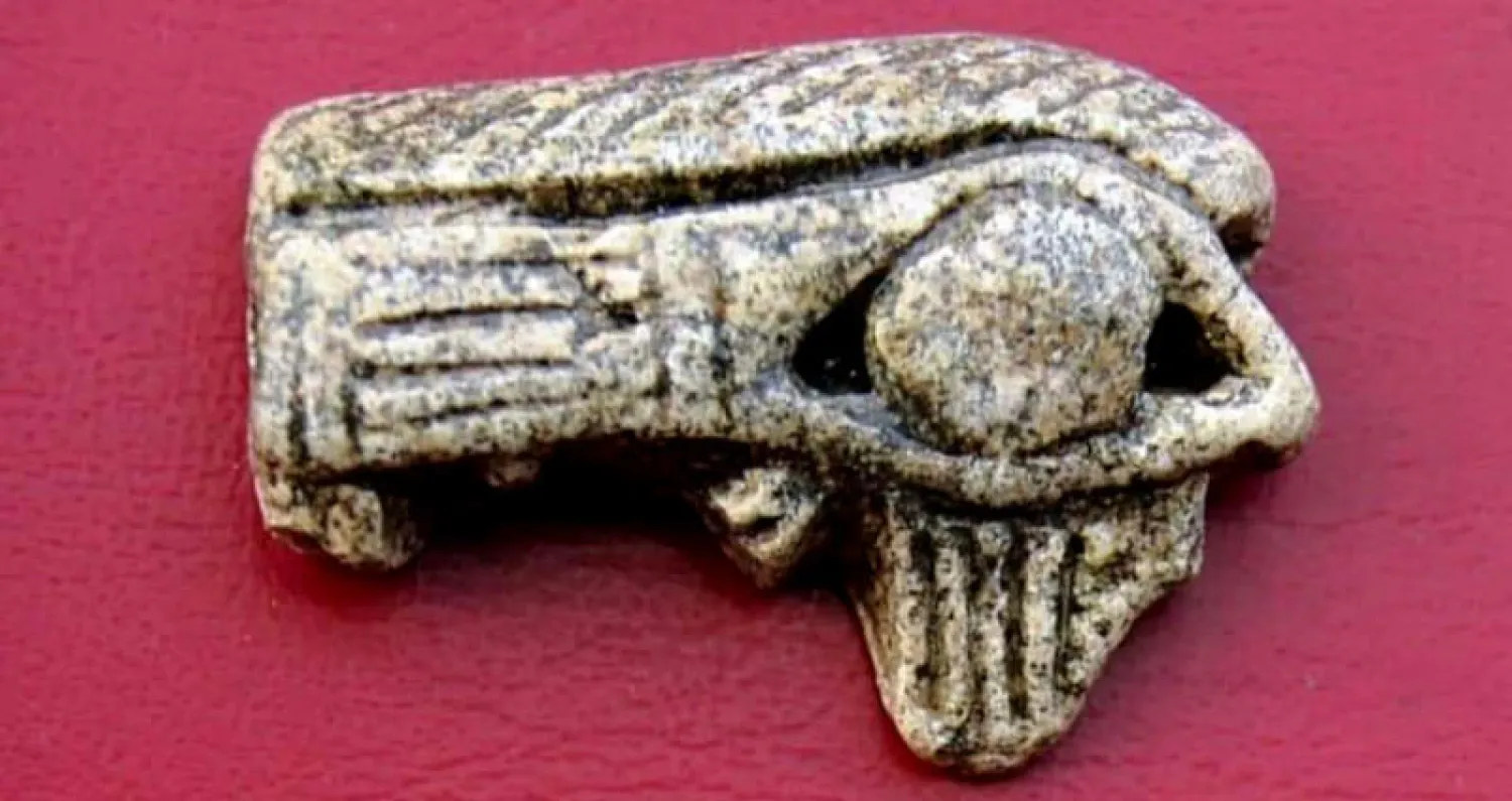 قطع نادرة عثر عليها بموقع الاكتشاف الأخير