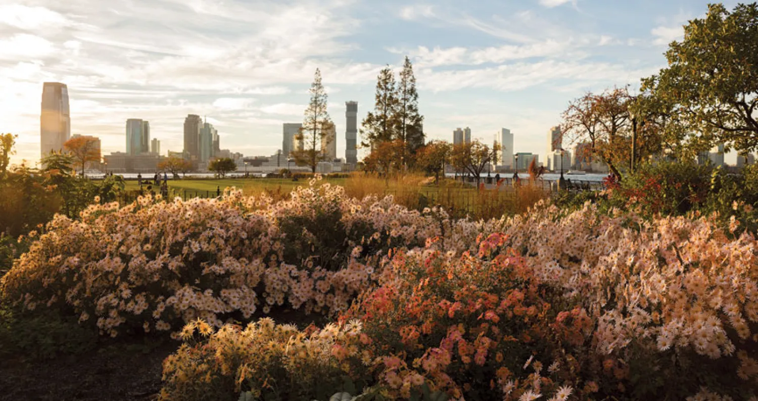  تغيير وجه استخدام المباني الإدارية وناطحات السحاب على طول «وول ستريت» و«برودواي» لتصبح أبراجاً سكنية حيث باتت المنطقة تؤوي الآن 62 ألف نسمة (الشرق الأوسط)