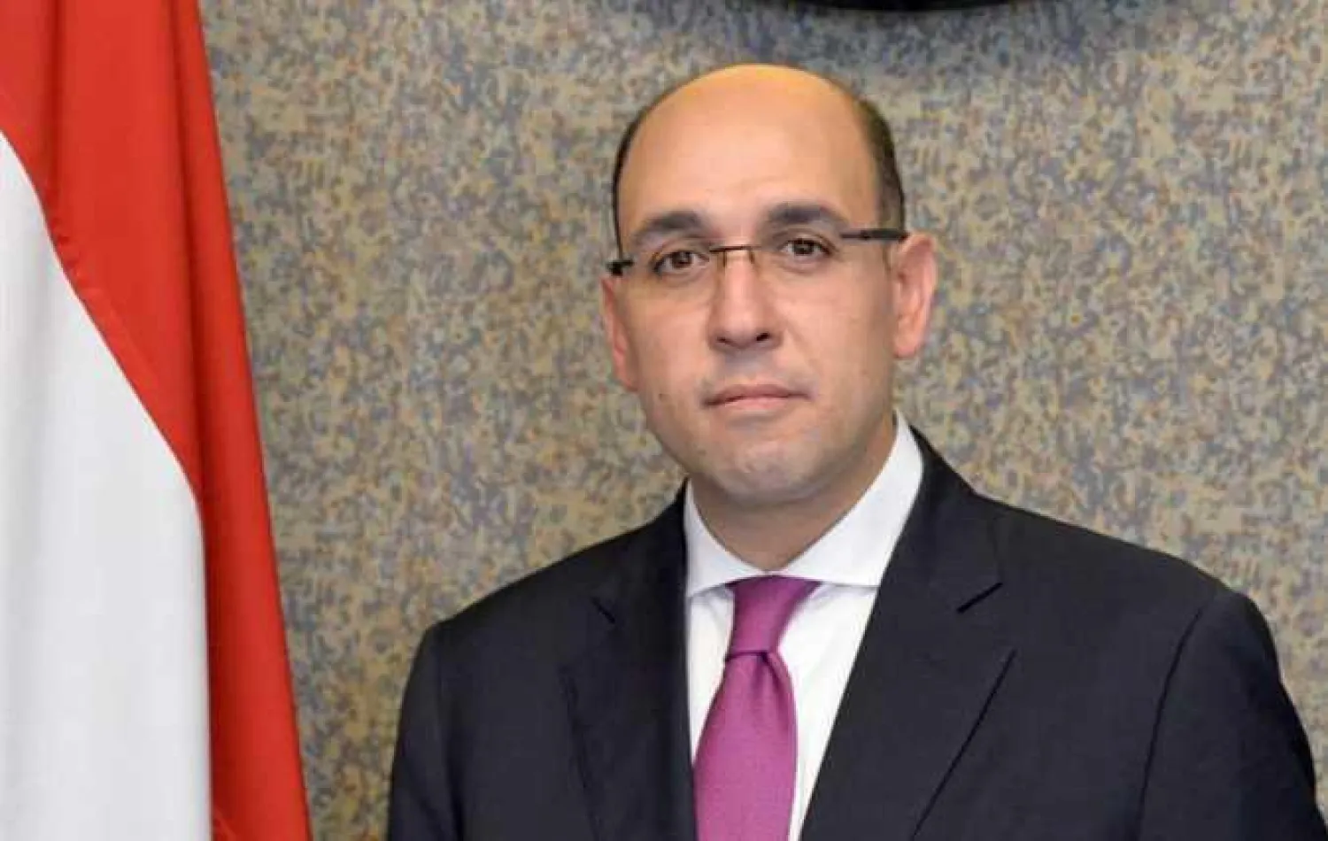المتحدث الرسمي باسم وزارة الخارجية المصرية أحمد حافظ (فيسبوك)