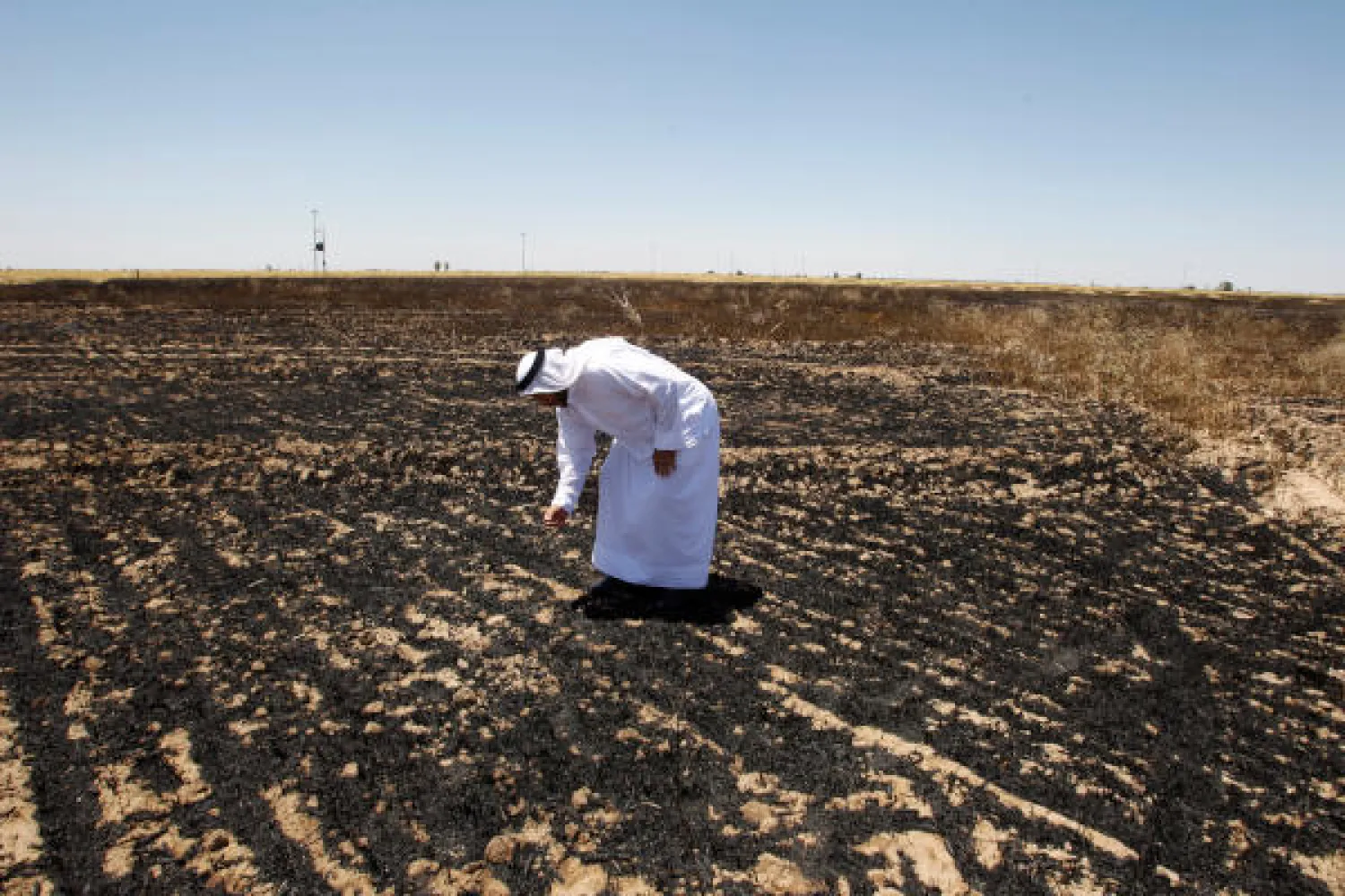 A farmer inspects wheat crops at his field, which were burned by fire in Alam area, east of Tikrit, Iraq May 30, 2019. Picture taken May 30, 2019. REUTERS/Khalid al-Mousily
