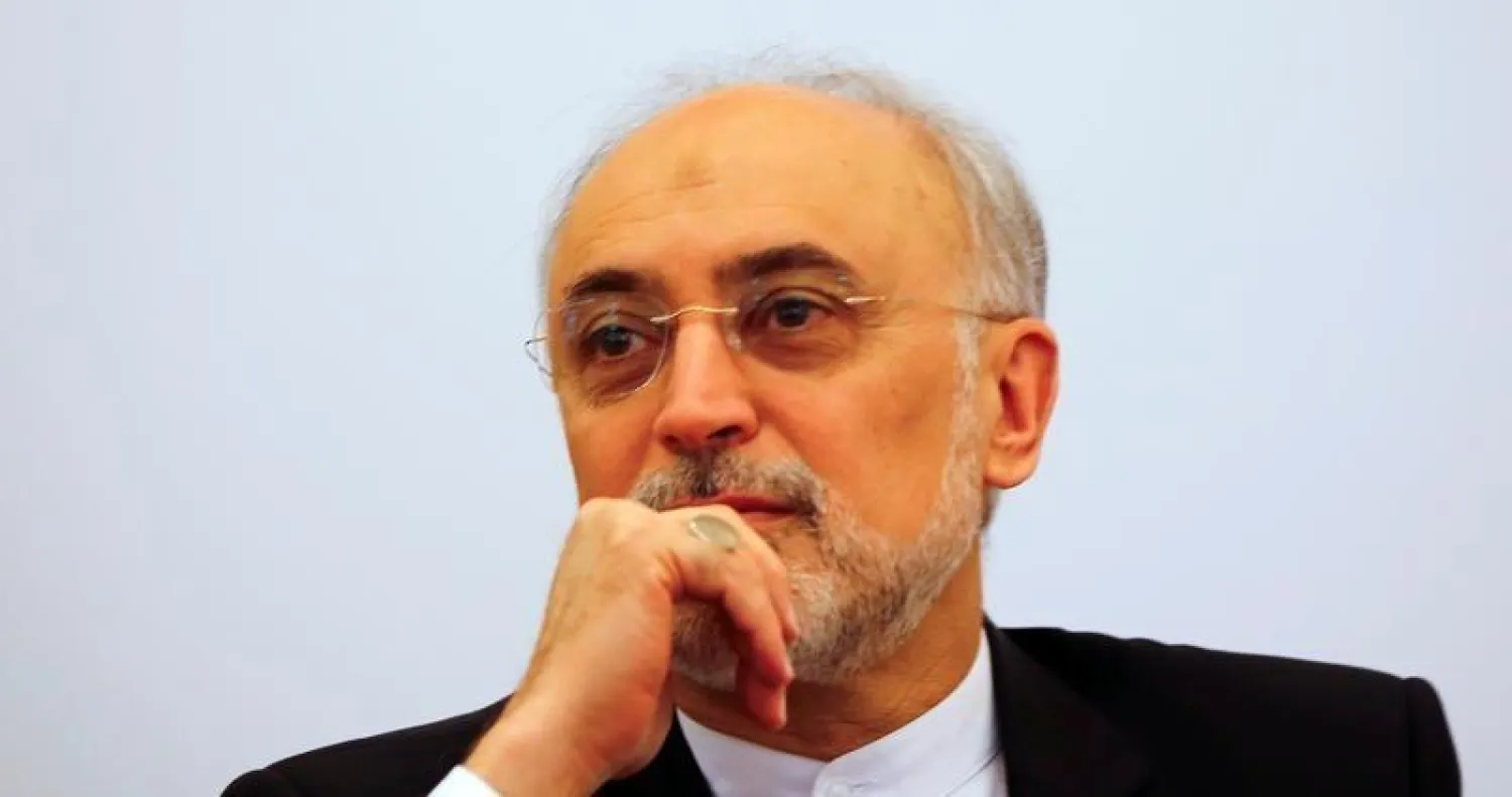 علي أكبر صالحي مدير منظمة الطاقة الذرية الإيرانية (أرشيفية - رويترز)