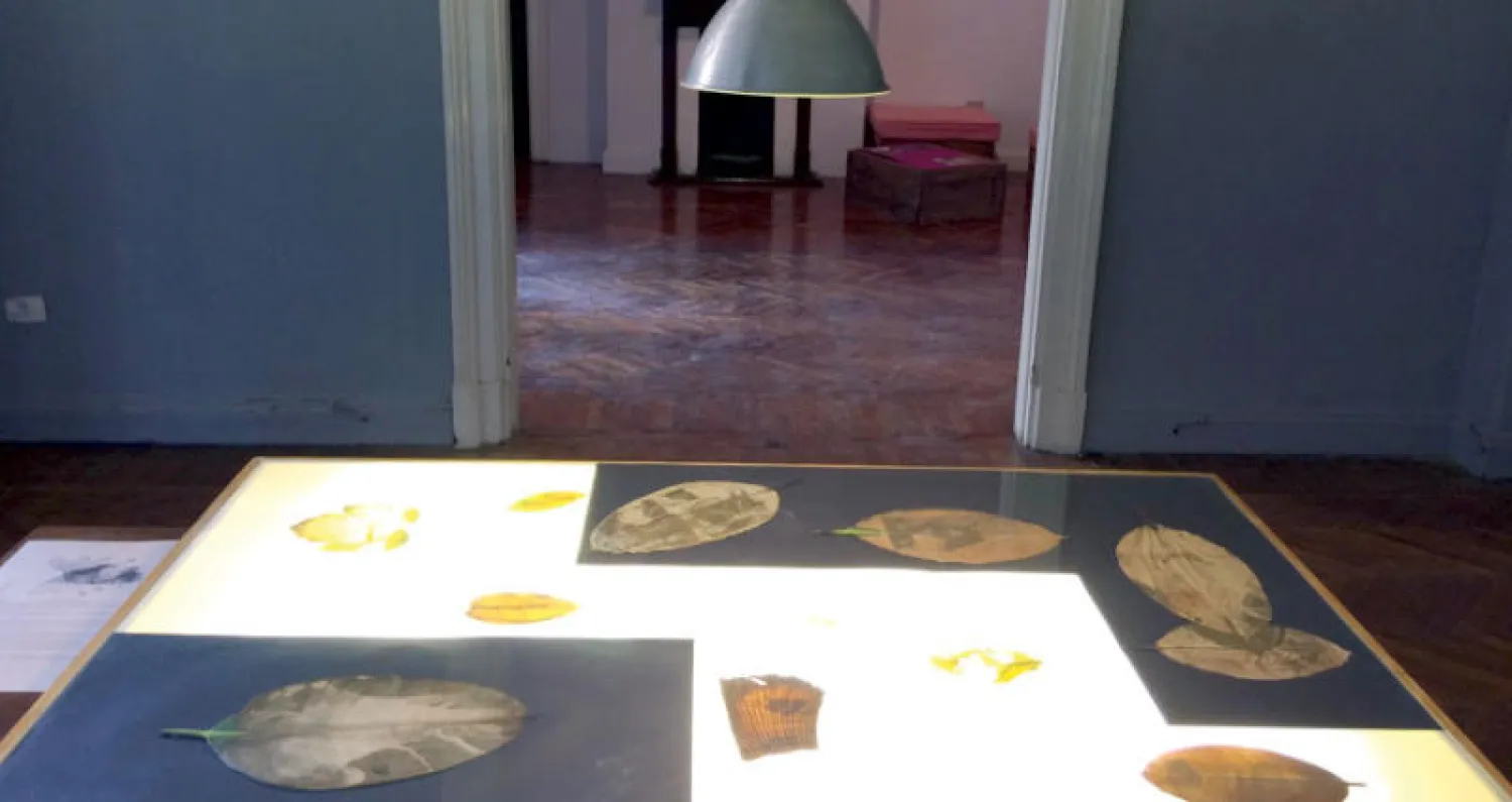 من أعمال مجموعة «مرحلة انتقالية أخرى» للفنانة أمنية صبري