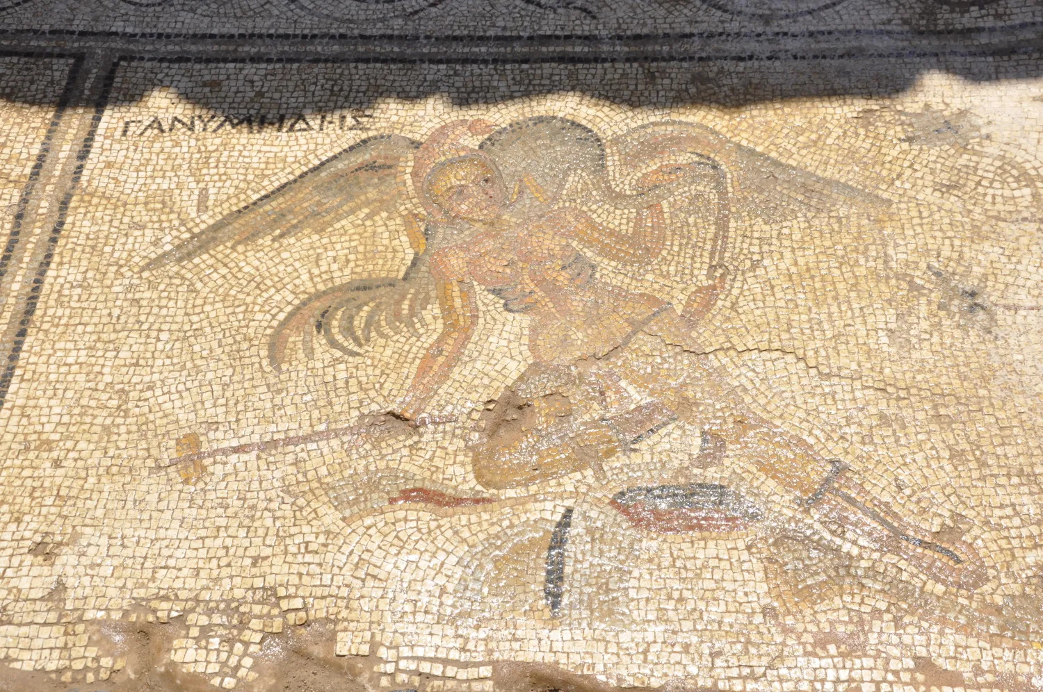 Tuvalet yazılarının atası bulundu