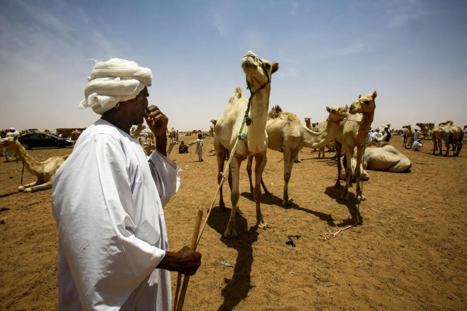 Not far from Sudan's capital Khartoum, dozens of camel traders are oblivious to the country's biggest political upheaval in decades | AFP