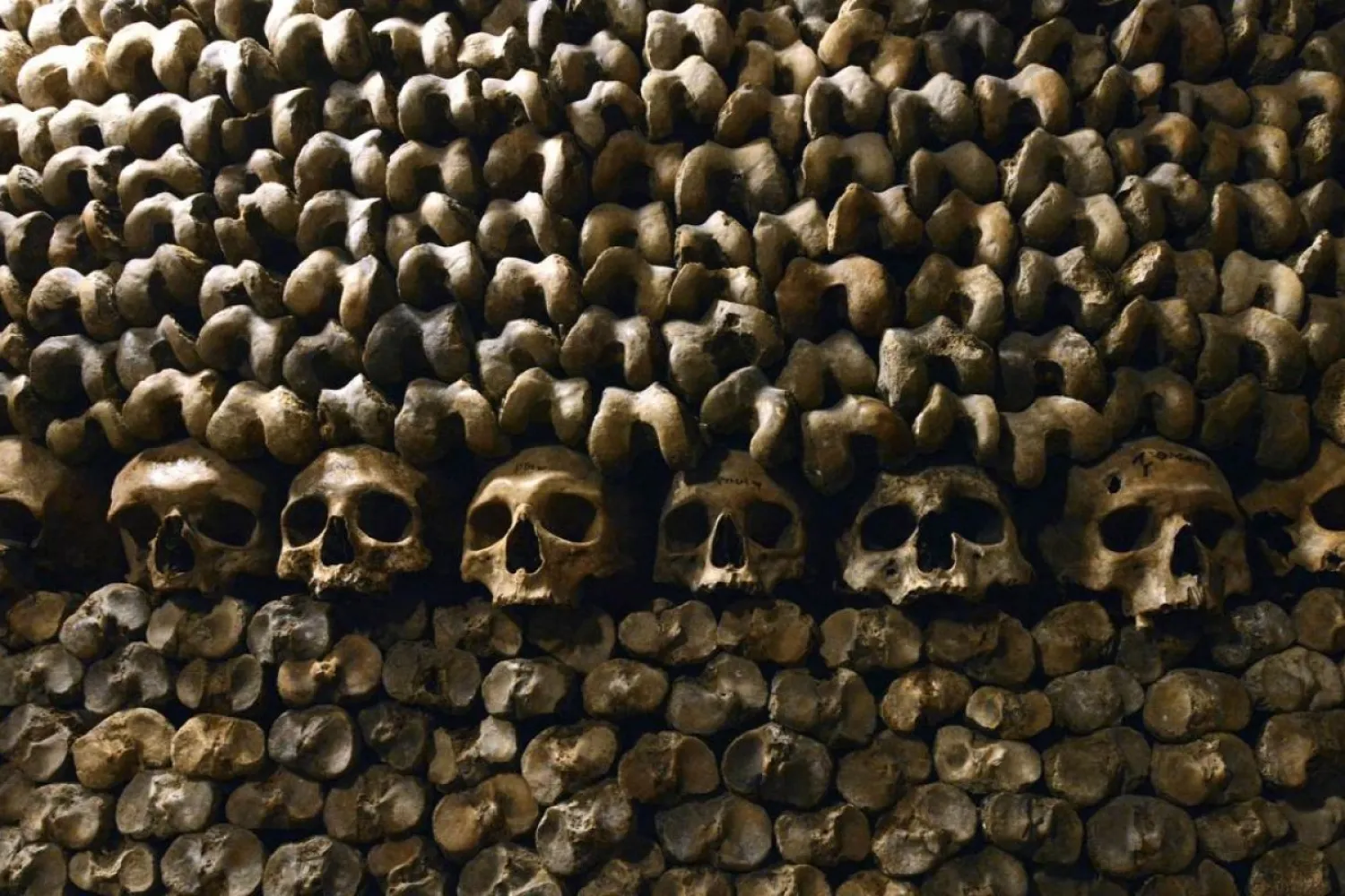 The skulls in the Catacombs of Paris. (AFP)