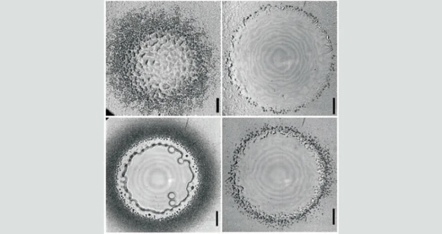 معرفة طبيعة تأثير قطرات السوائل على سطح به فقاعات لها تأثير على الصناعة والطلاء مثل هياكل السفن لتقليل الاحتكاك ومن ثمَّ خفض استهلاك الوقود
