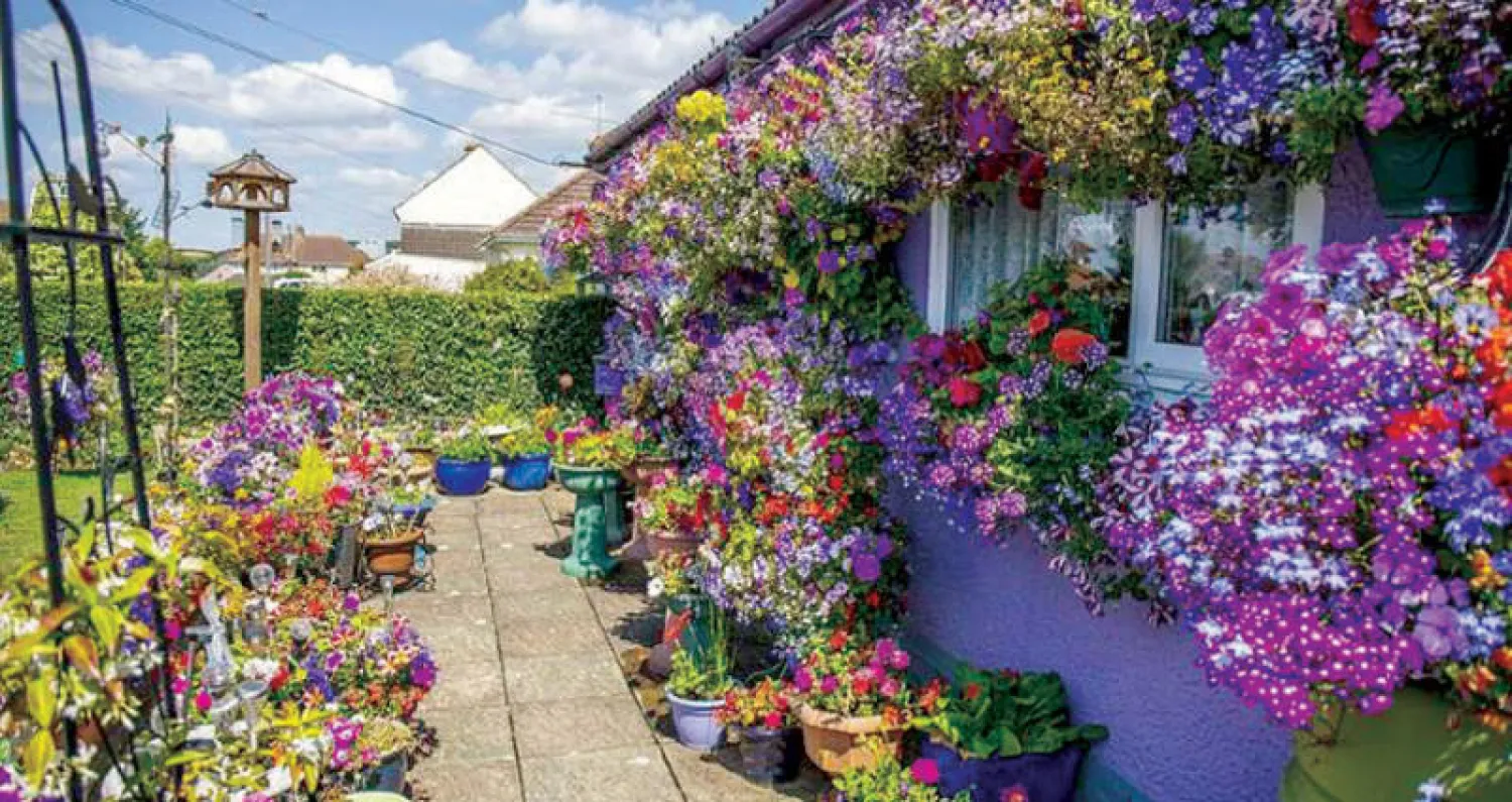 سلال من الزهور في الحديقة