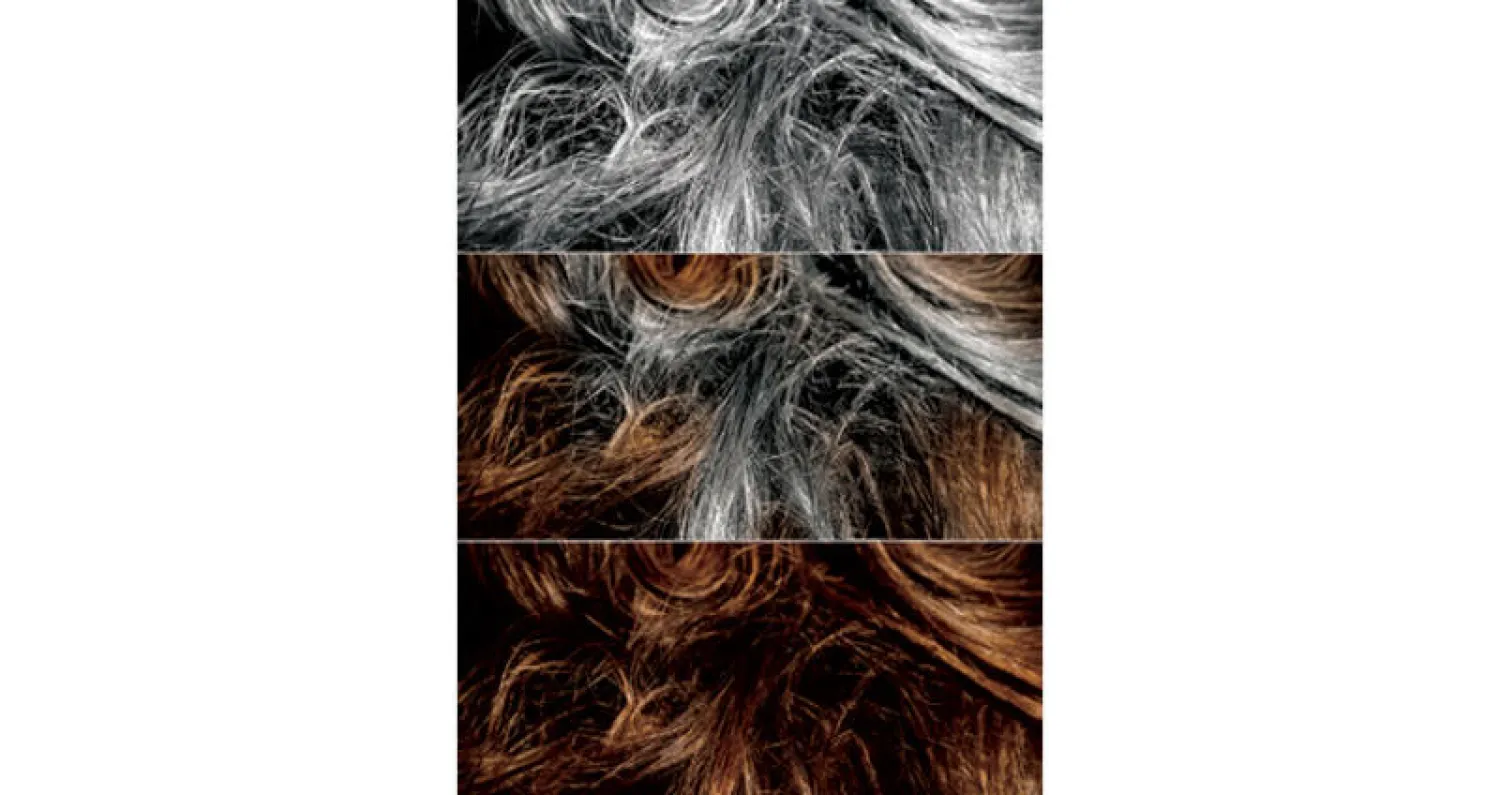 15 حقيقة عن بياض الشعر