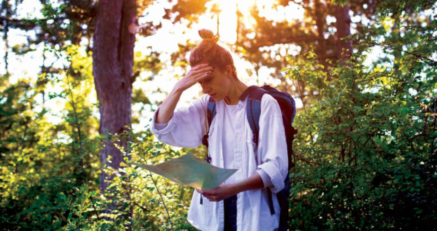 البشر يعتمدون على الشمس مثل النحل في الملاحة