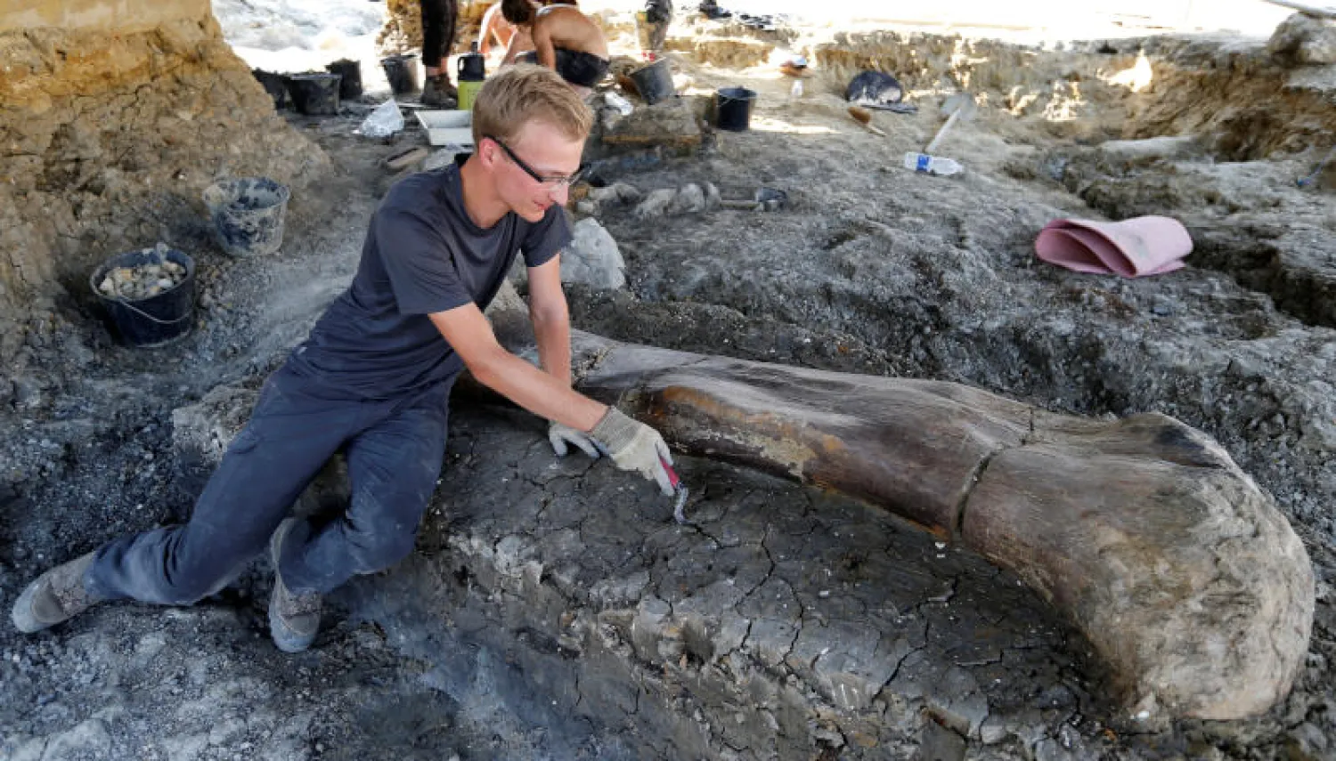 العظمة التي عثر عليها الباحثون في فرنسا (أ.ف.ب)