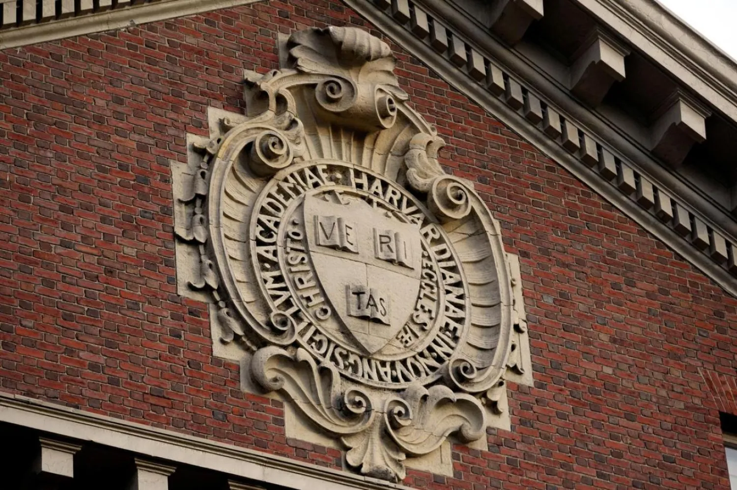 Harvard Üniversitesi üst üste 8. kez ilk sırada yer aldı (Reuters)