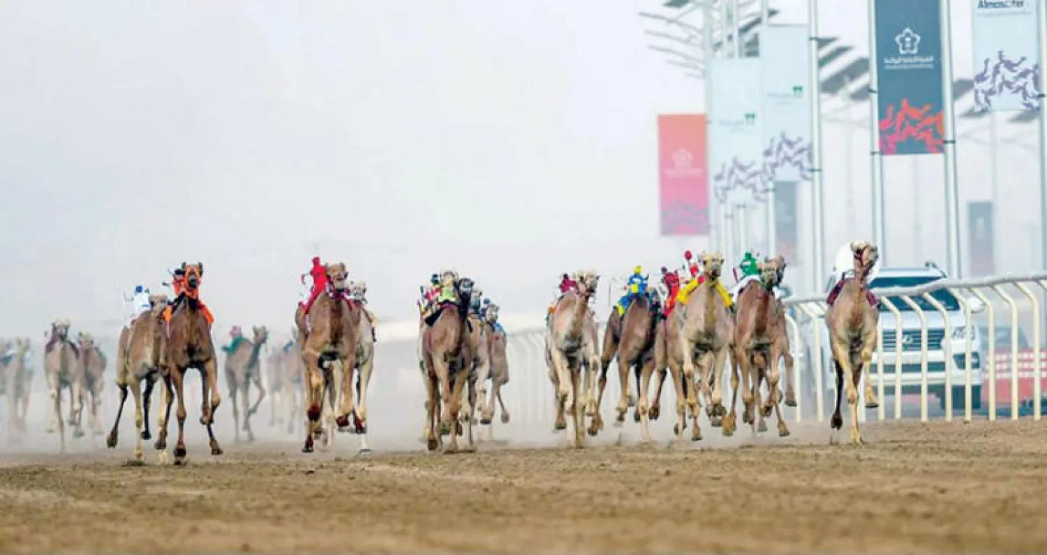مهرجان ولي العهد للهجن حظي بمتابعة لافتة في عامه الأول (الشرق الأوسط)