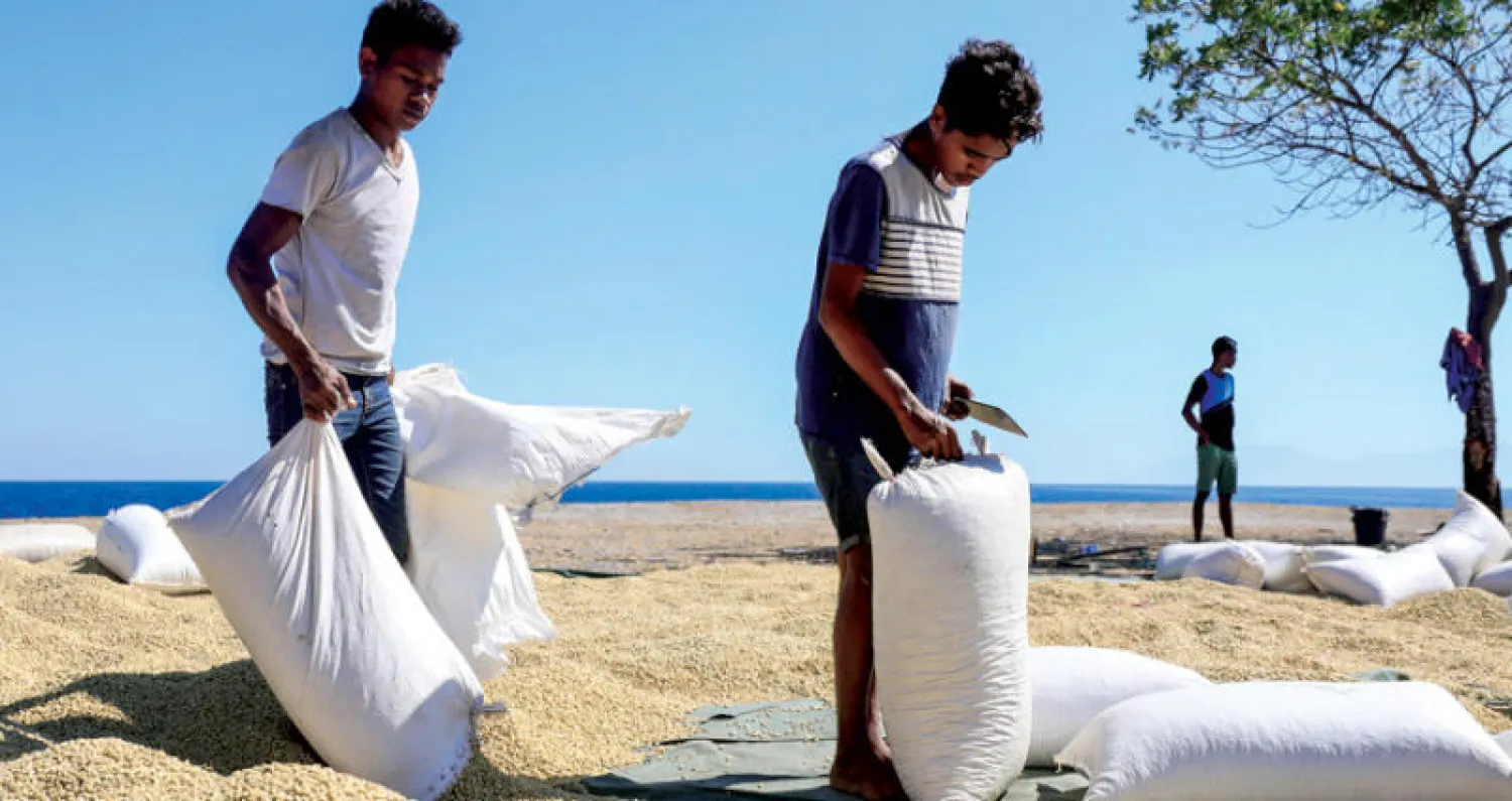 عمال يجففون حبوب القهوة في تيمور الشرقية (إ.ب.أ)