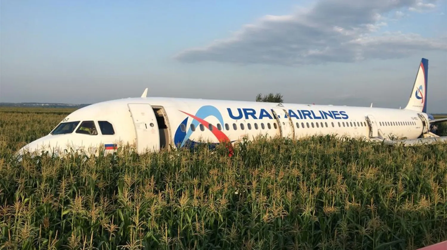 A view shows the Ural Airlines Airbus 321 passenger plane
following an emergency landing in a field near Zhukovsky International
Airport in Moscow Region in Russia on August 15, 2019. Photo: Reuters
