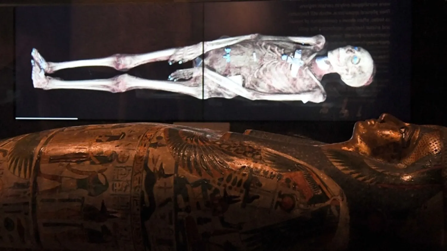 A three-dimensional image of a CT scan of an Egyptian mummy is projected above a sarcophagus. (AFP)