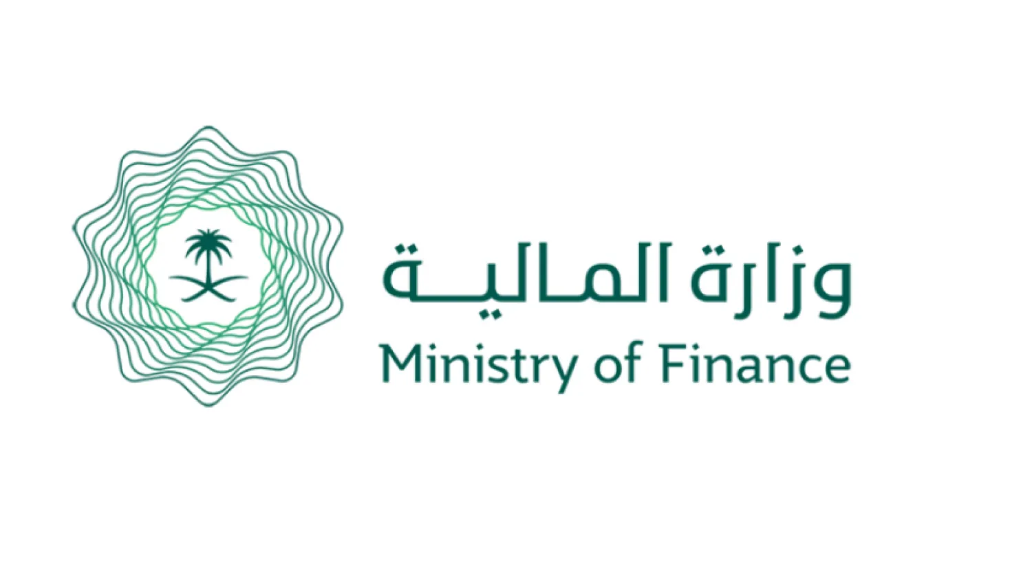 Saudi Ministry of Finance Warns of Suspicious Virtual Currency
