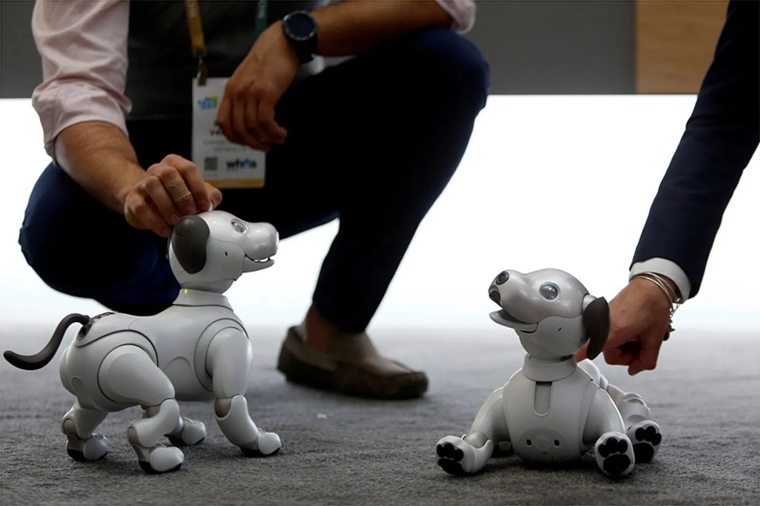 Sony's Aibo robotic dogs are displayed during the 2018 CES in
Las Vegas, Nevada, U.S. January 8, 2018. Steve Marcus, Reuters/FILE
PHOTO
