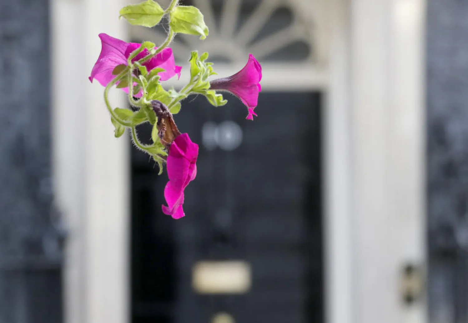 مدخل مقر رئيس الوزراء البريطاني، 10 دواننغ ستريت في لندن (أ.ب)