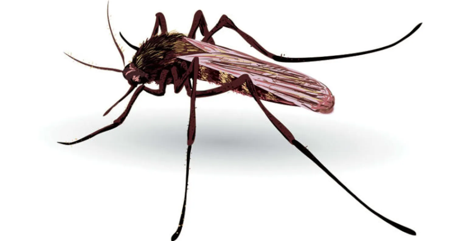 خبراء صحة: يمكن القضاء على الملاريا بحلول 2050