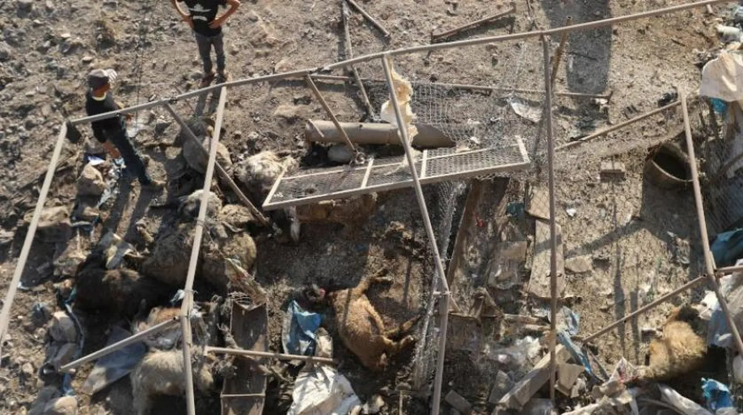 Syrian boys look at a destroyed sheep pen following a reported Russian air strike in the village of al-Daher in Syria's northwestern Idlib province on September 11, 2019. Omar HAJ KADOUR / AFP
