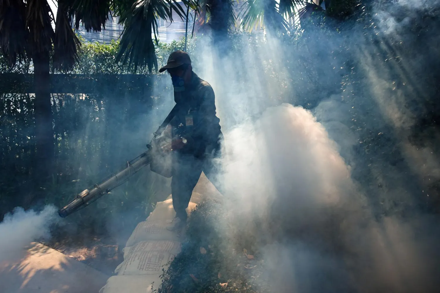 FILE PHOTO: A worker sprays insecticide for mosquitos at a village in Bangkok, Thailand, December 12, 2017. REUTERS/Athit Perawongmetha/File Photo