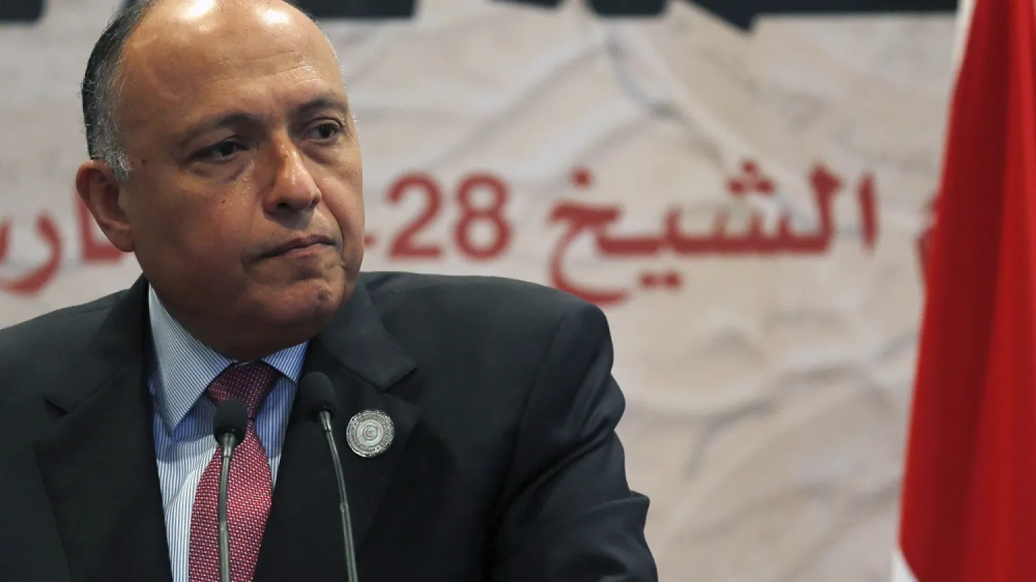 Egyptian Foreign Minister Sameh Shoukry. (Reuters)