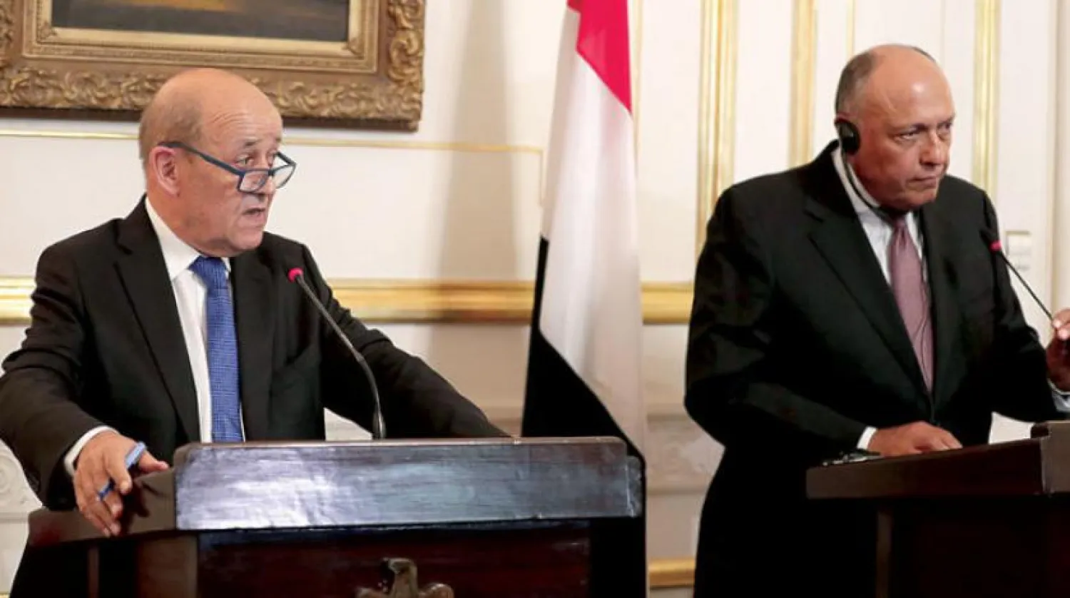 Egyptian Foreign Minister Sameh Shoukry  with French Foreign Minister Jean-Yves Le Drian in Cairo (EPA)