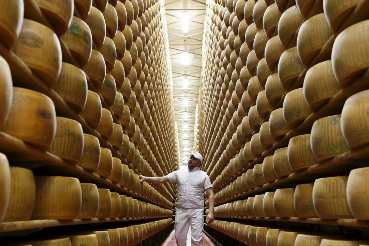 A worker inspects wheels of Parmesan cheese at a storehouse in Modena, Italy. Photo: Reuters