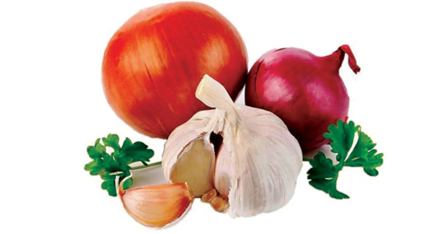 البصل والثوم قد يحميان النساء من سرطان الثدي