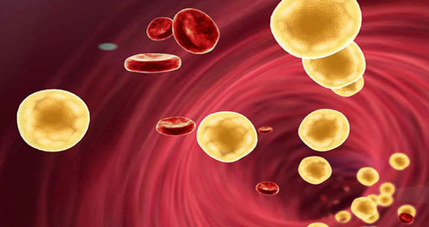 جينات رفع الكوليسترول تختلف من شعب لآخر