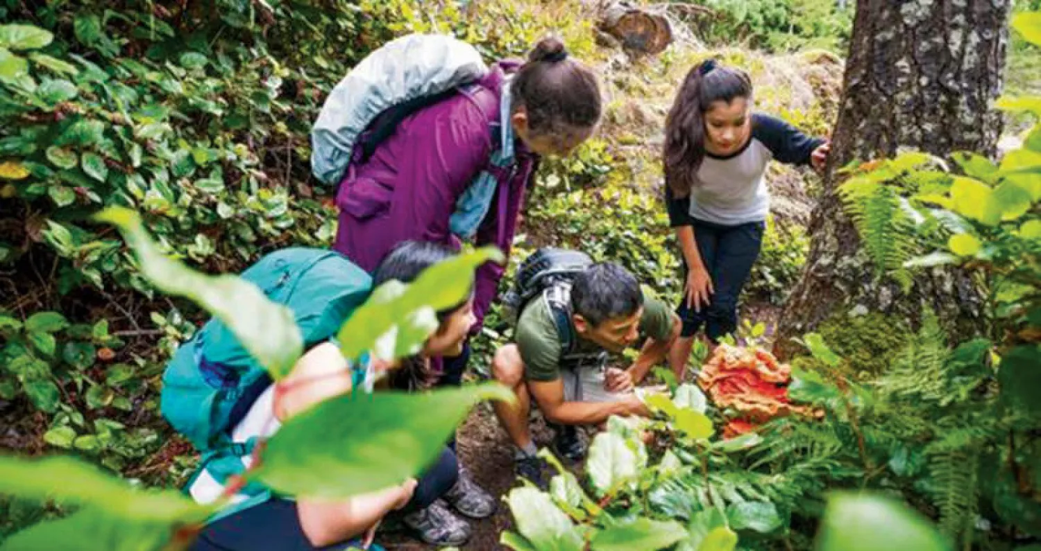 تنظم المشاوير في الجبال لقطف النباتات البرية