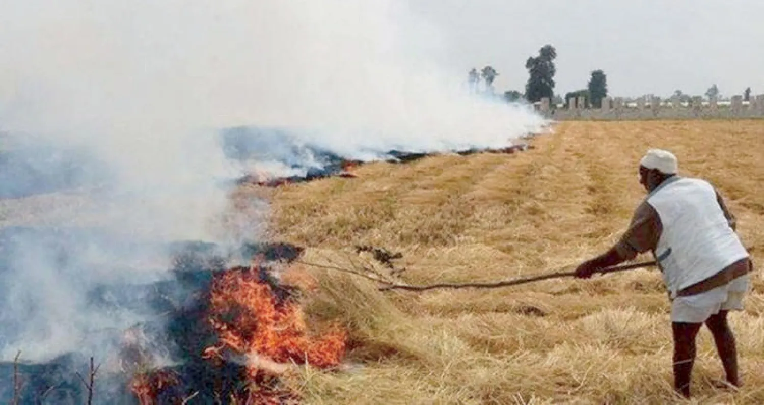 حرق قش الأرز يتسبب في السحابة السوداء السنوية