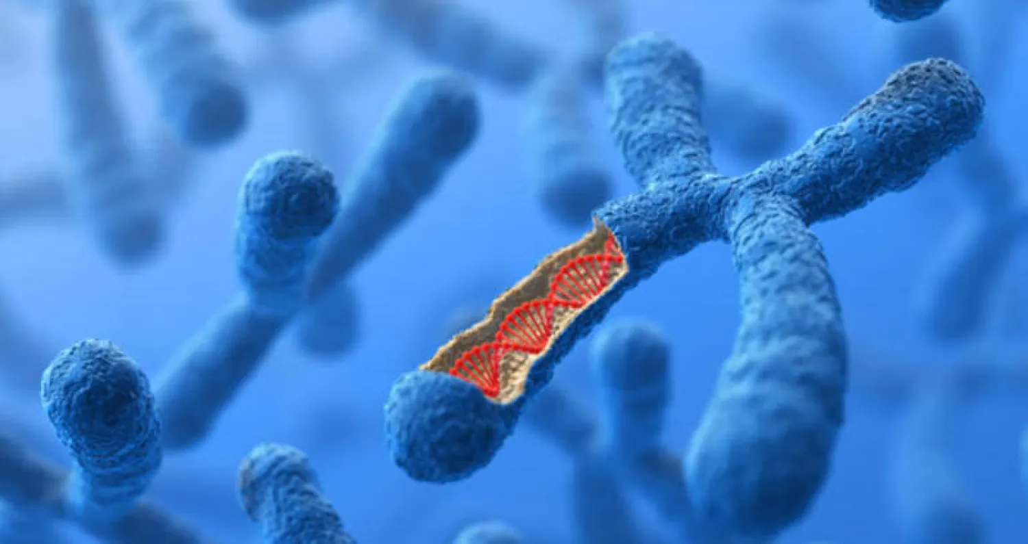 اكتشاف جينات مضادة للتوتر... تطيل العمر