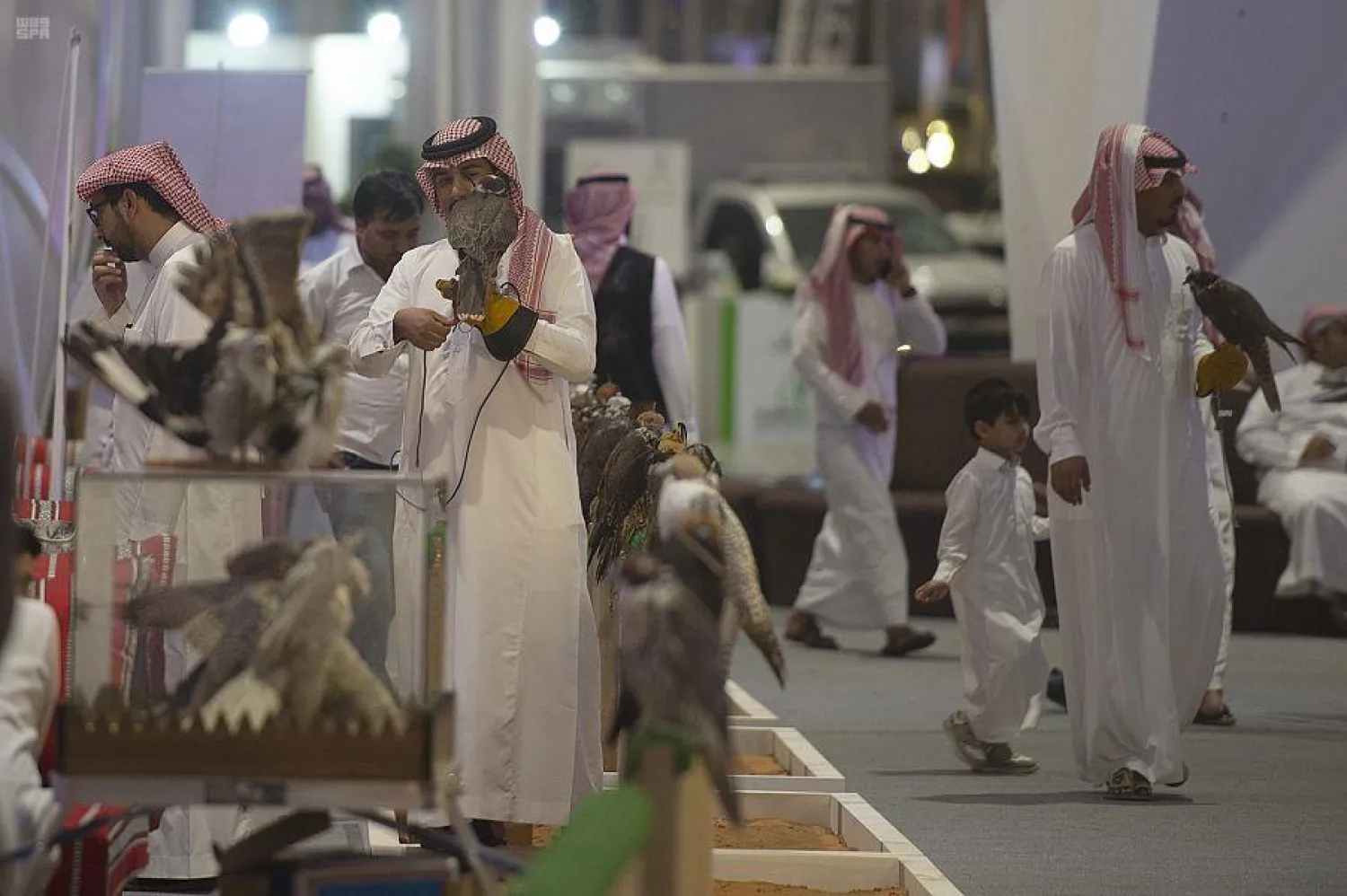 Falcon Sales Exceed Two Million Riyals Upon Launching of Saudi Falcons and Hunting Exhibition 2019 - SPA