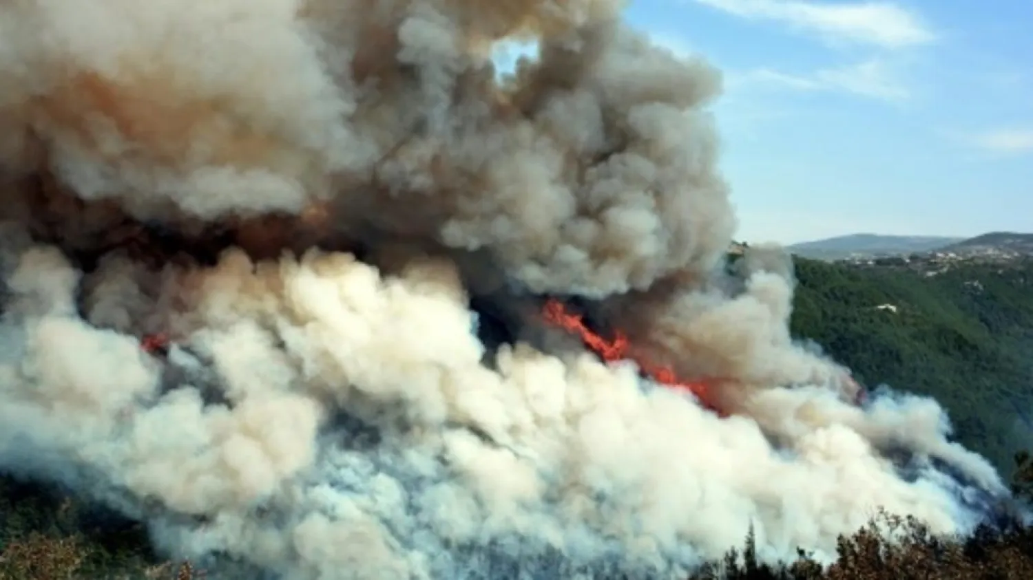 Forest fires have erupted in large swathes of land in Lebanon and Syria | AFP