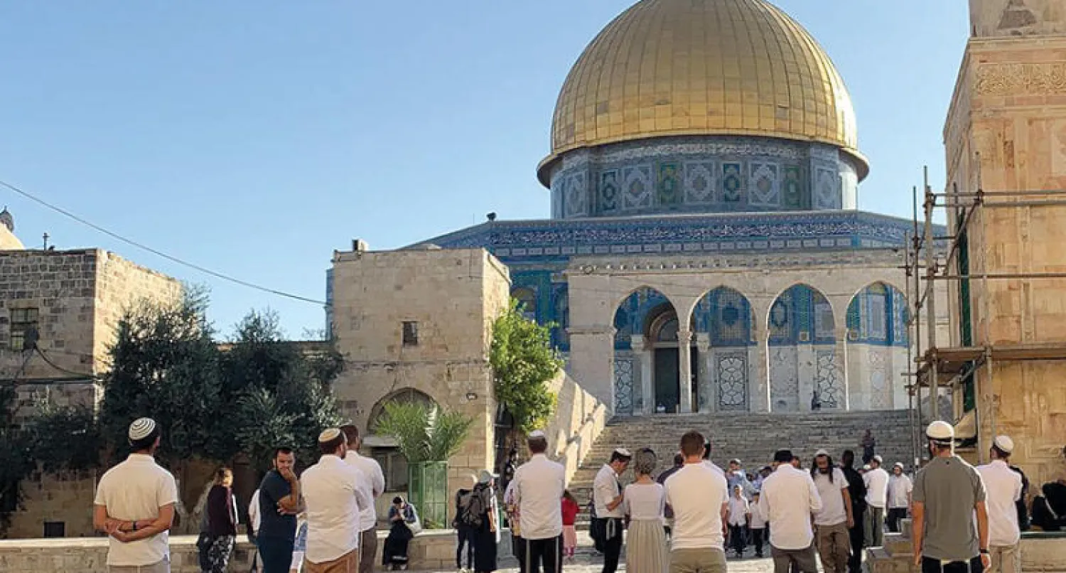 المصحح: سعدالشطانوفي