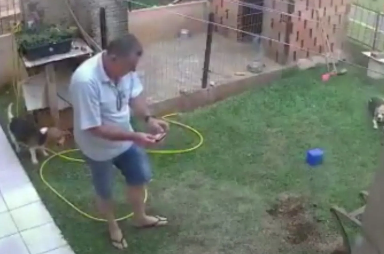 Haşerelere çözüm bulmak isterken bahçeyi havaya uçurdu