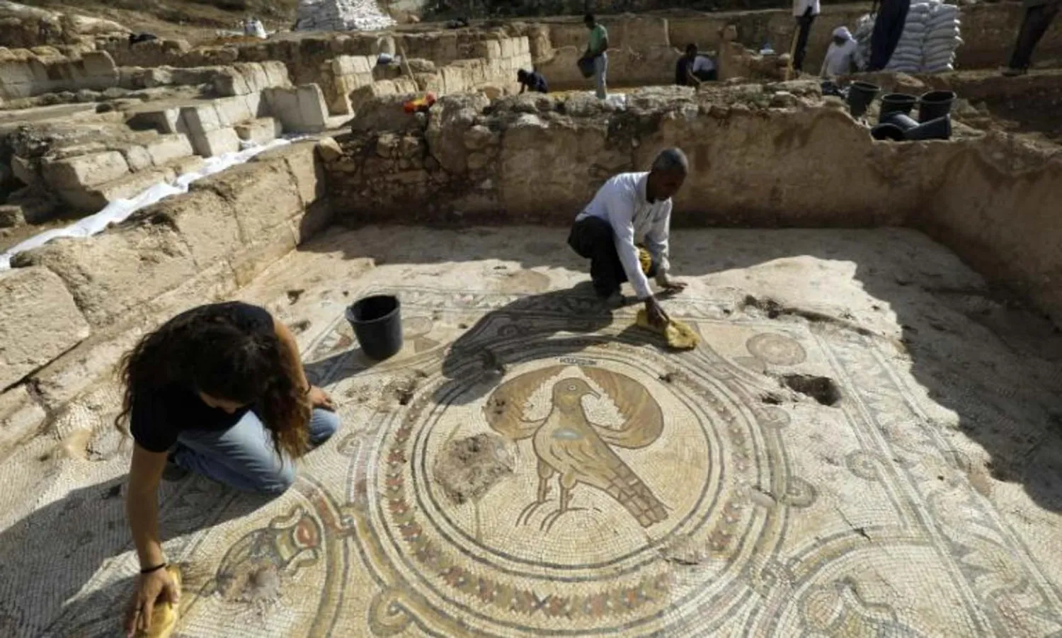 The mosaic church floor of an Eagle symbol of the Byzantine Empire in Beit Shemesh. AFP